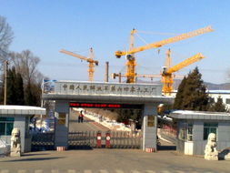 唐山塔機(jī)與升降機(jī)租賃服務(wù) 高效施工的堅(jiān)實(shí)后盾